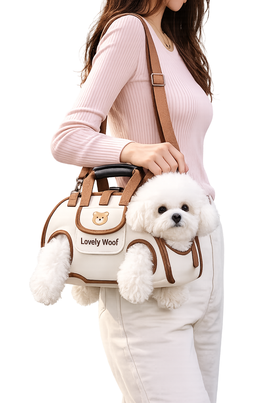 2-in-1 Dog Leash & Carrier